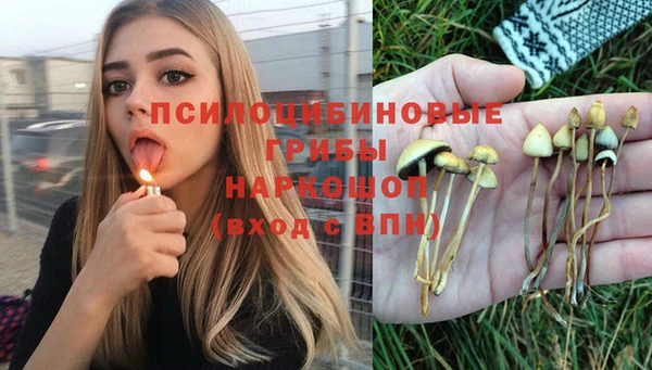 прущие крисы Алексеевка