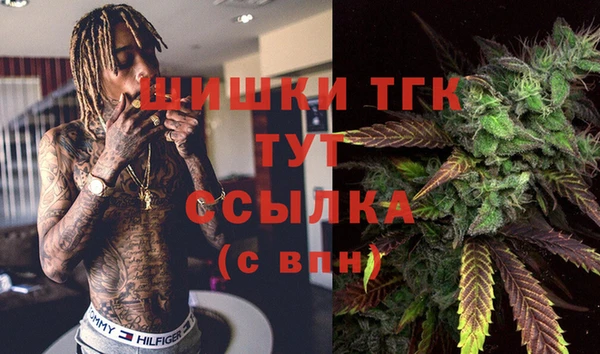 Альфа ПВП Алзамай