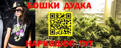 МДПВ Славгород