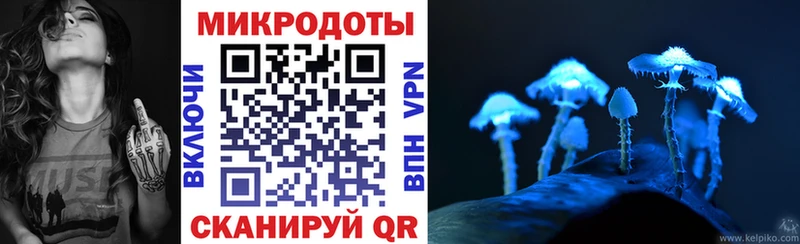 наркошоп  Чусовой  Псилоцибиновые грибы Psilocybine cubensis 