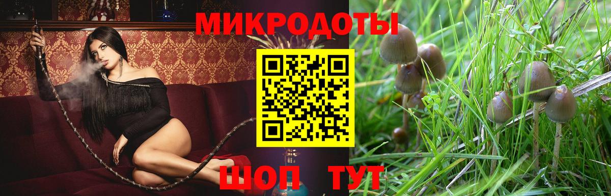 Чусовой  Галлюциногенные грибы мухоморы  Псилоцибиновые грибы Cubensis  Вход с VPN 